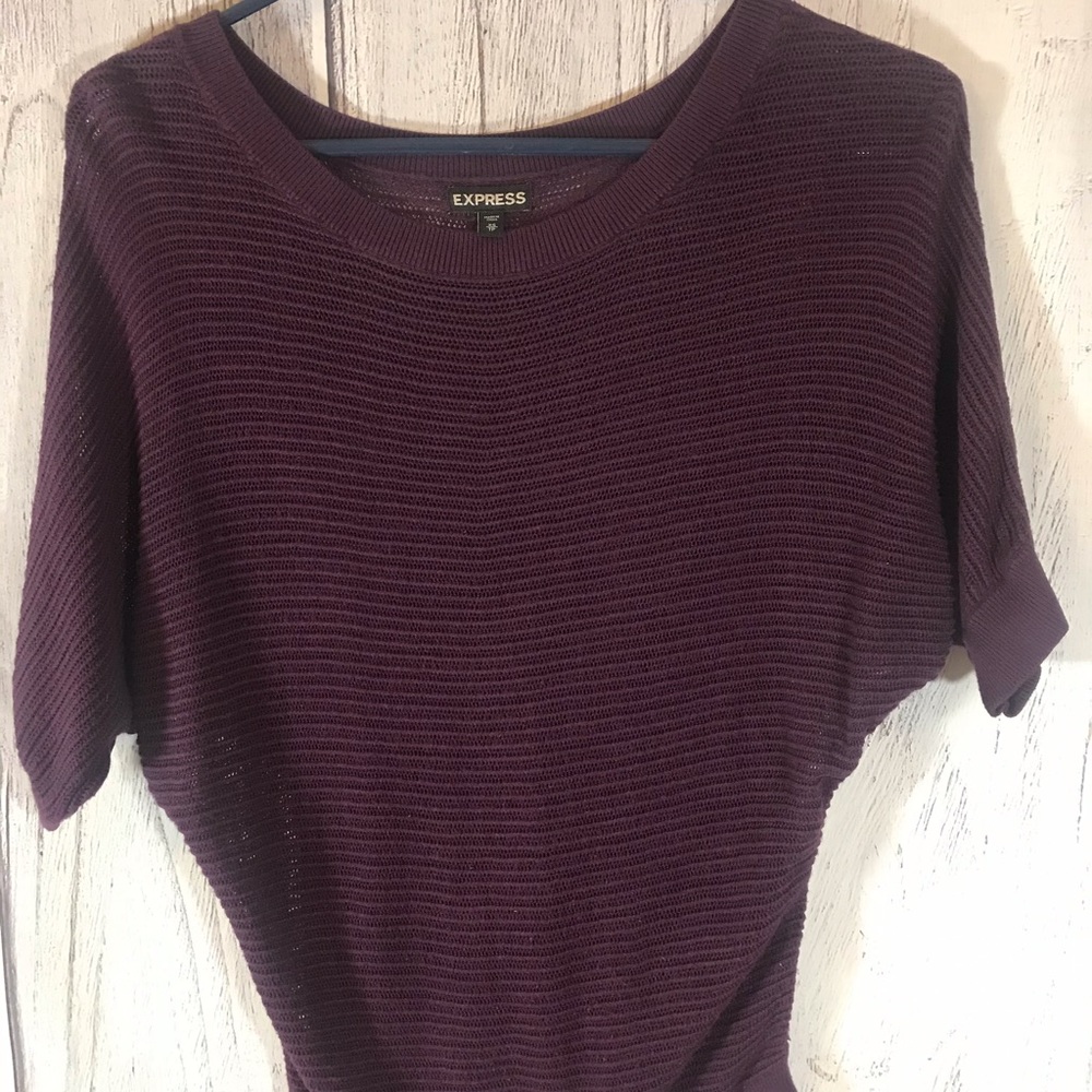 Express Semi Sheer Plum Top